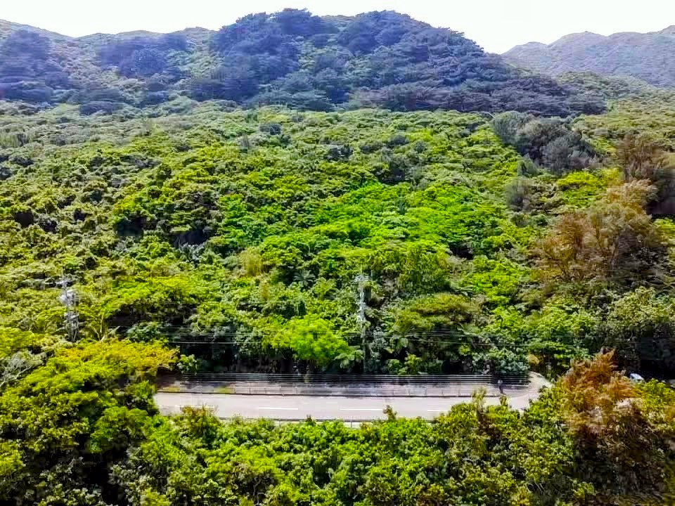 石垣島 不動産　石垣市 売却　石垣売買　石垣島 土地　石垣市 建物　石垣市 マンション　石垣 収益物件　石垣 投資物件　石垣 リゾート用地　石垣 事業用地　