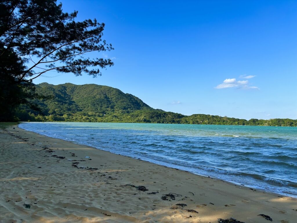 石垣島 不動産　石垣市 売却　石垣売買　石垣島 土地　石垣市 建物　石垣市 マンション　石垣 収益物件　石垣 投資物件　石垣 リゾート用地　石垣 事業用地　