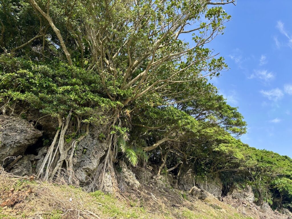 石垣島不動産 売却 売買 土地 建物 マンション 収益物件 投資物件 リゾート用地 事業用地 全景