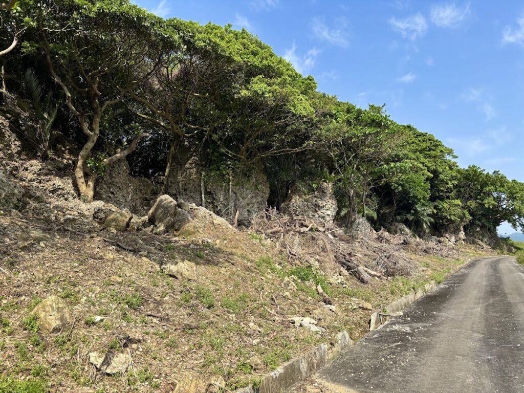 石垣島不動産 売却 売買 土地 建物 マンション 収益物件 投資物件 リゾート用地 事業用地 全景