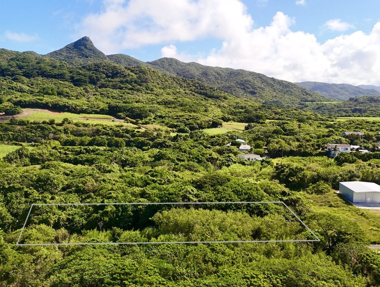 石垣島不動産　売却　売買　土地　建物　マンション　収益物件　投資物件　リゾート用地　事業用地　