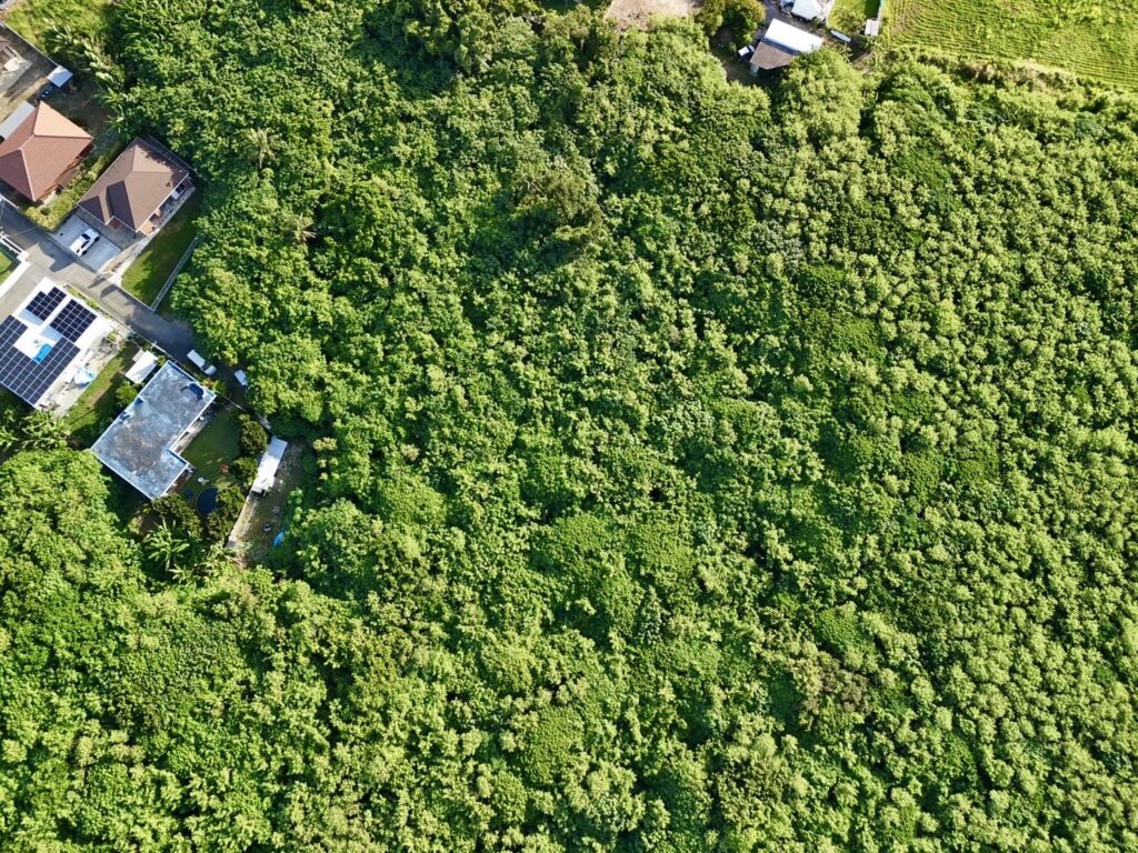 石垣島　不動産　石垣市　石垣　売却　売買　土地　建物　マンション　収益物件　投資物件 上空写真