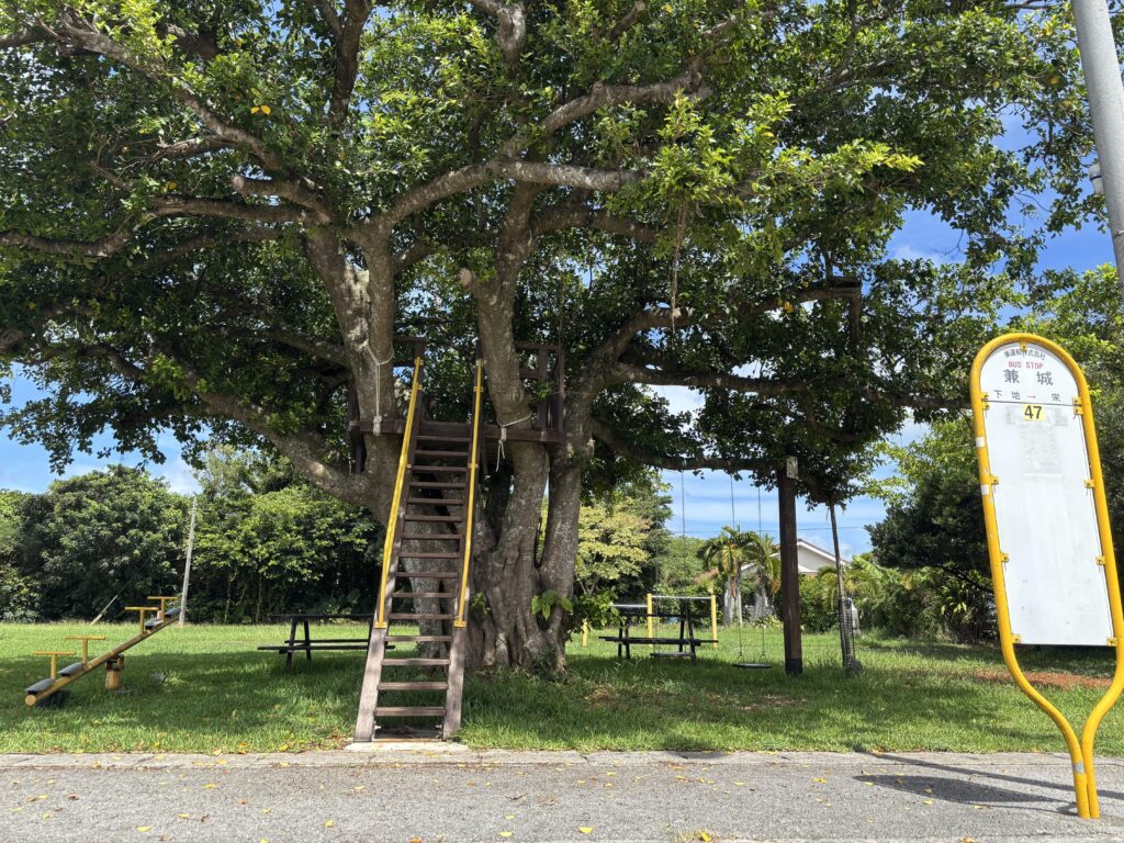 石垣島 不動産 石垣市 石垣 売却 売買 土地 建物 マンション 収益物件 投資物件 リゾート用地 事業用地 公園とバス停