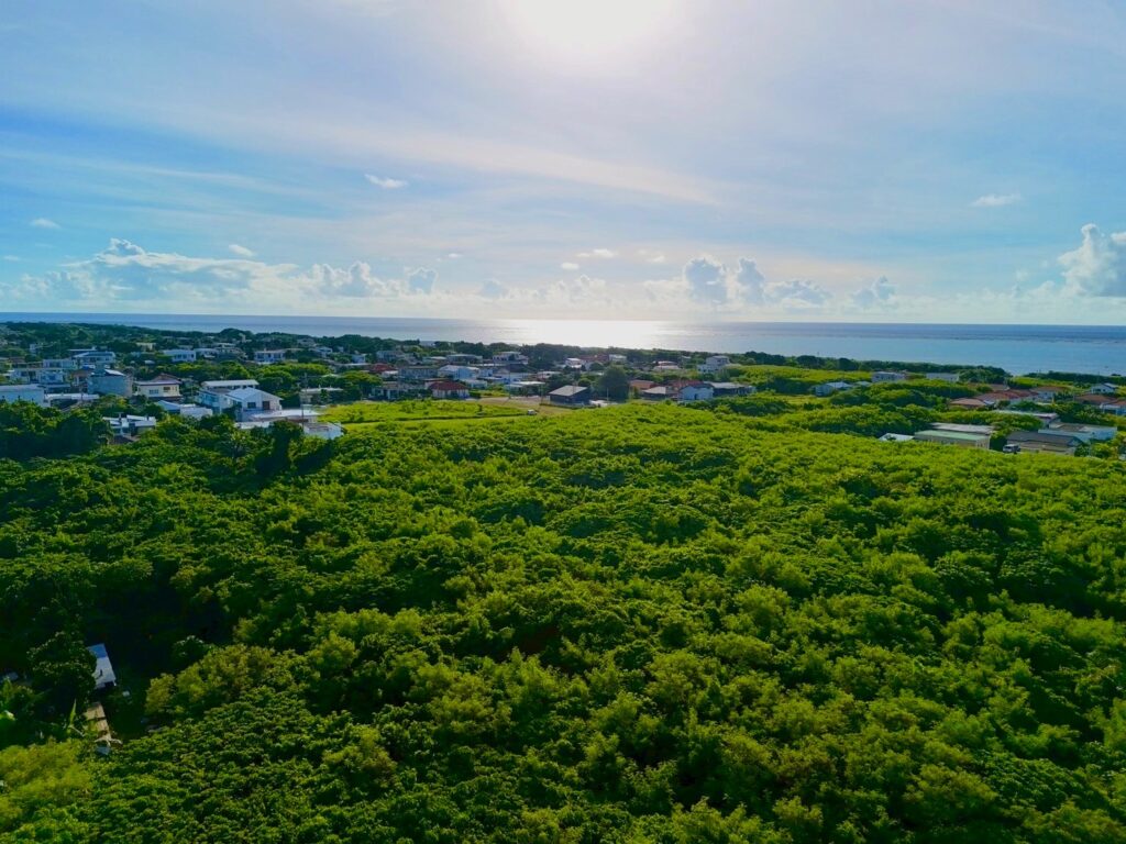 石垣島　不動産　石垣市　石垣　売却　売買　土地　建物　マンション　収益物件　投資物件　物件全景