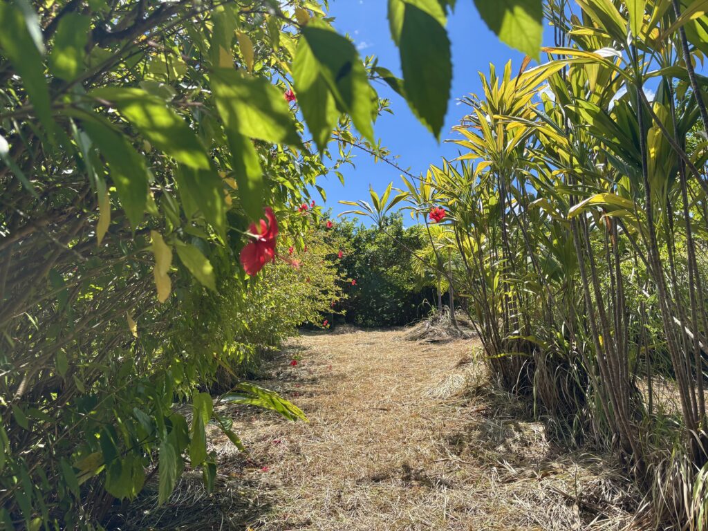 石垣島　不動産　石垣市　石垣　売却　売買　土地　建物　マンション　収益物件　投資物件　農地