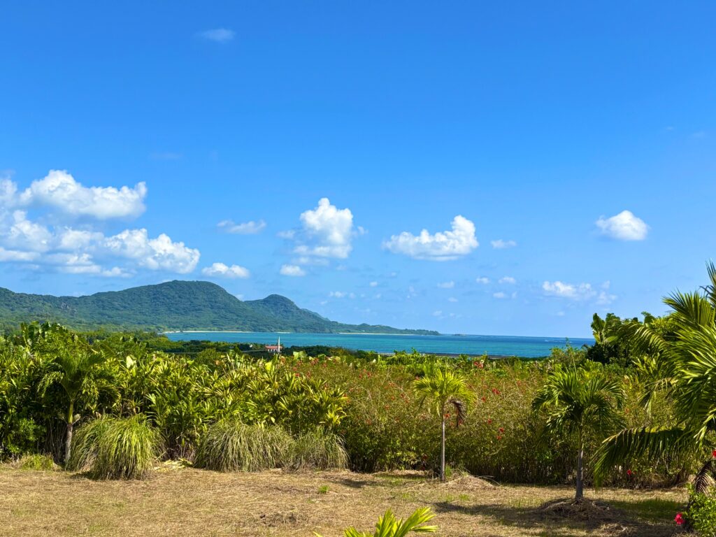 石垣島　不動産　石垣市　石垣　売却　売買　土地　建物　マンション　収益物件　投資物件　オーシャンビュー