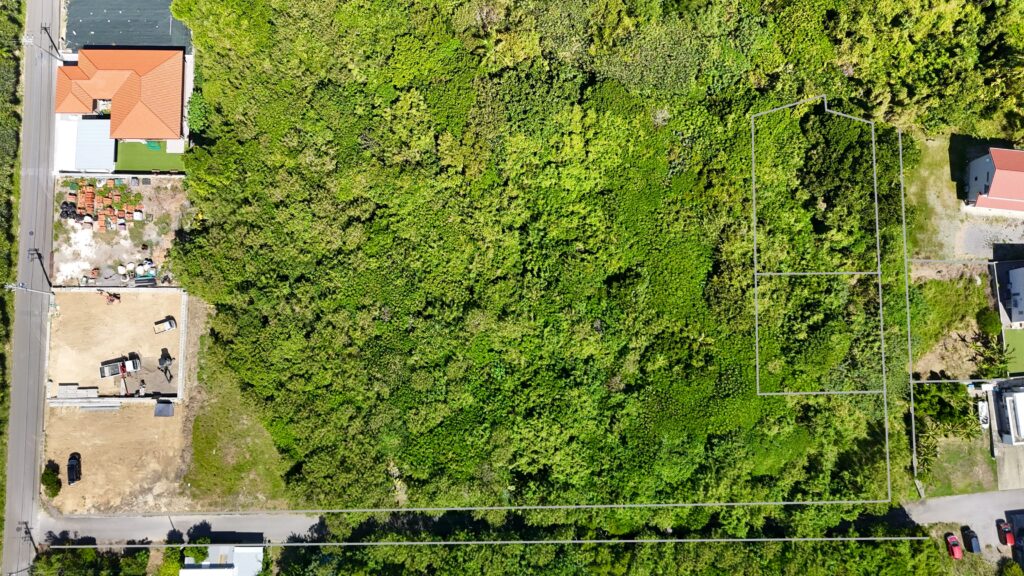 石垣島 不動産 石垣市 石垣 売却 売買 土地 建物 マンション 収益物件 投資物件 物件全景