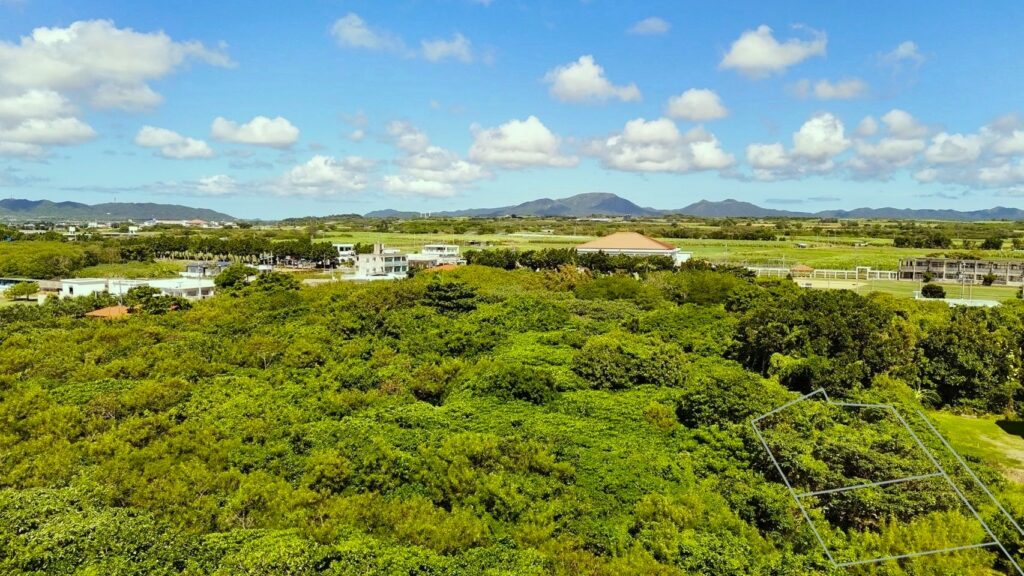 石垣島 不動産 石垣市 石垣 売却 売買 土地 建物 マンション 収益物件 投資物件 物件全景