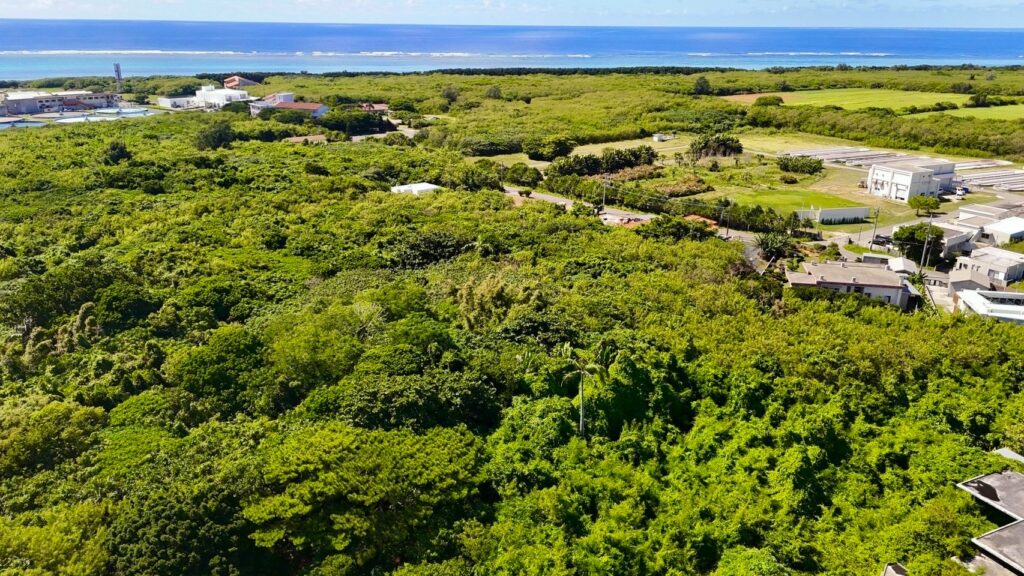 石垣島 不動産 石垣市 石垣 売却 売買 土地 建物 マンション 収益物件 投資物件 物件全景