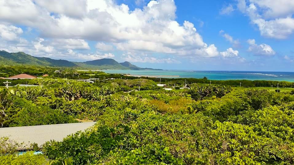 石垣島　不動産　石垣市　石垣　売却　売買　土地　建物　マンション　収益物件　投資物件　物件全景