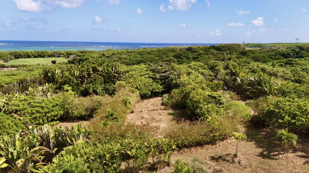 石垣島　不動産　石垣市　石垣　売却　売買　土地　建物　マンション　収益物件　投資物件　物件全景