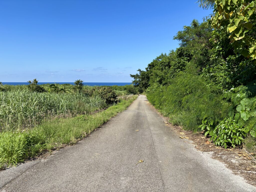 石垣島 不動産 石垣市 石垣 売却 売買 土地 建物 マンション 収益物件 投資物件 西側の市道幅員4m
