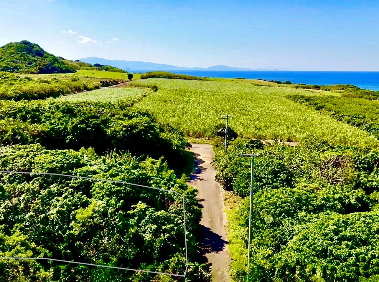 石垣島不動産　売却　売買　土地　建物　マンション　収益物件　投資物件　リゾート用地　事業用地　