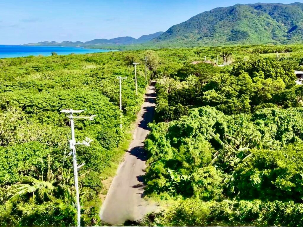 石垣島 不動産 石垣市 石垣 売却 売買 土地 建物 マンション 収益物件 投資物件 物件と前面道路