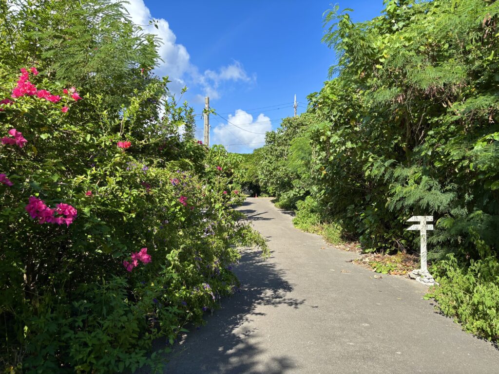石垣島米原ビーチ物件の前面道路