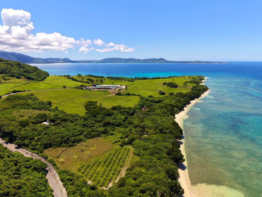 石垣島 不動産　石垣市 売却　石垣売買　石垣島 土地　石垣市 建物　石垣市 マンション　石垣 収益物件　石垣 投資物件　石垣 リゾート用地　石垣 事業用地　大崎