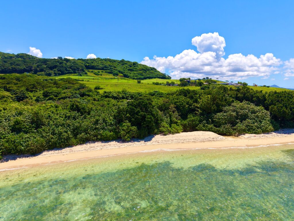 石垣島 不動産　石垣市 売却　石垣売買　石垣島 土地　石垣市 建物　石垣市 マンション　石垣 収益物件　石垣 投資物件　石垣 リゾート用地　石垣 事業用地　大崎